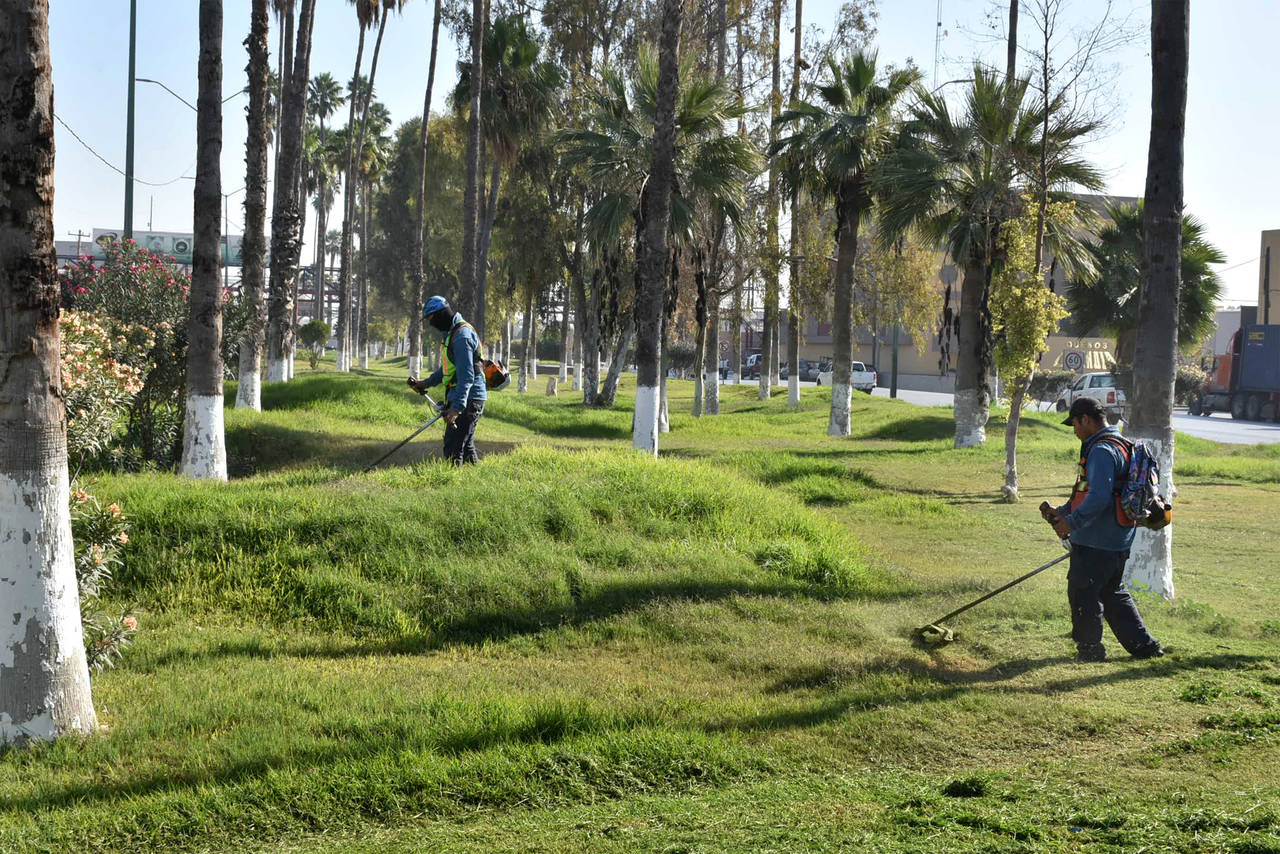 Preparan programa de reforestación El Siglo de Torreón