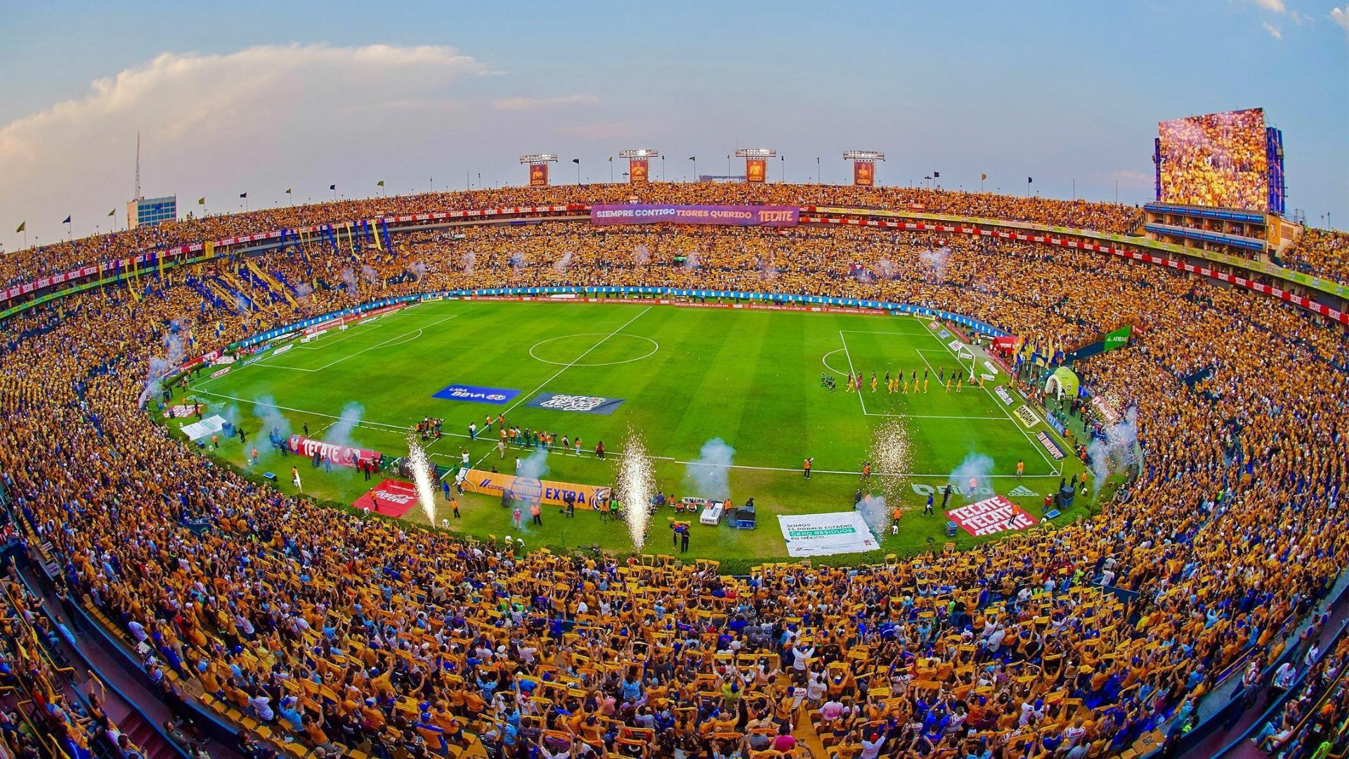 Estadio Universitario últimas noticias Lado mx