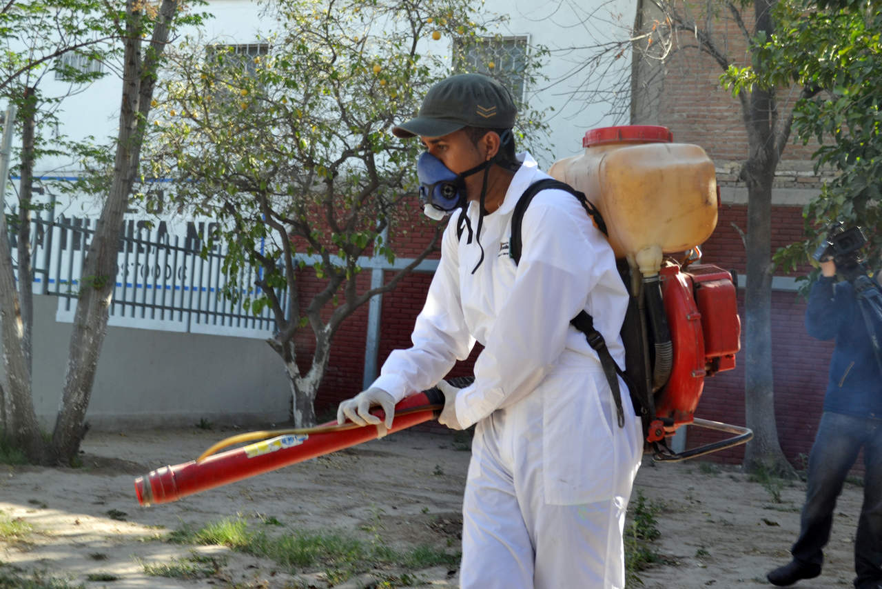 Aumentan Acciones Contra Mosquitos El Siglo De Torreón