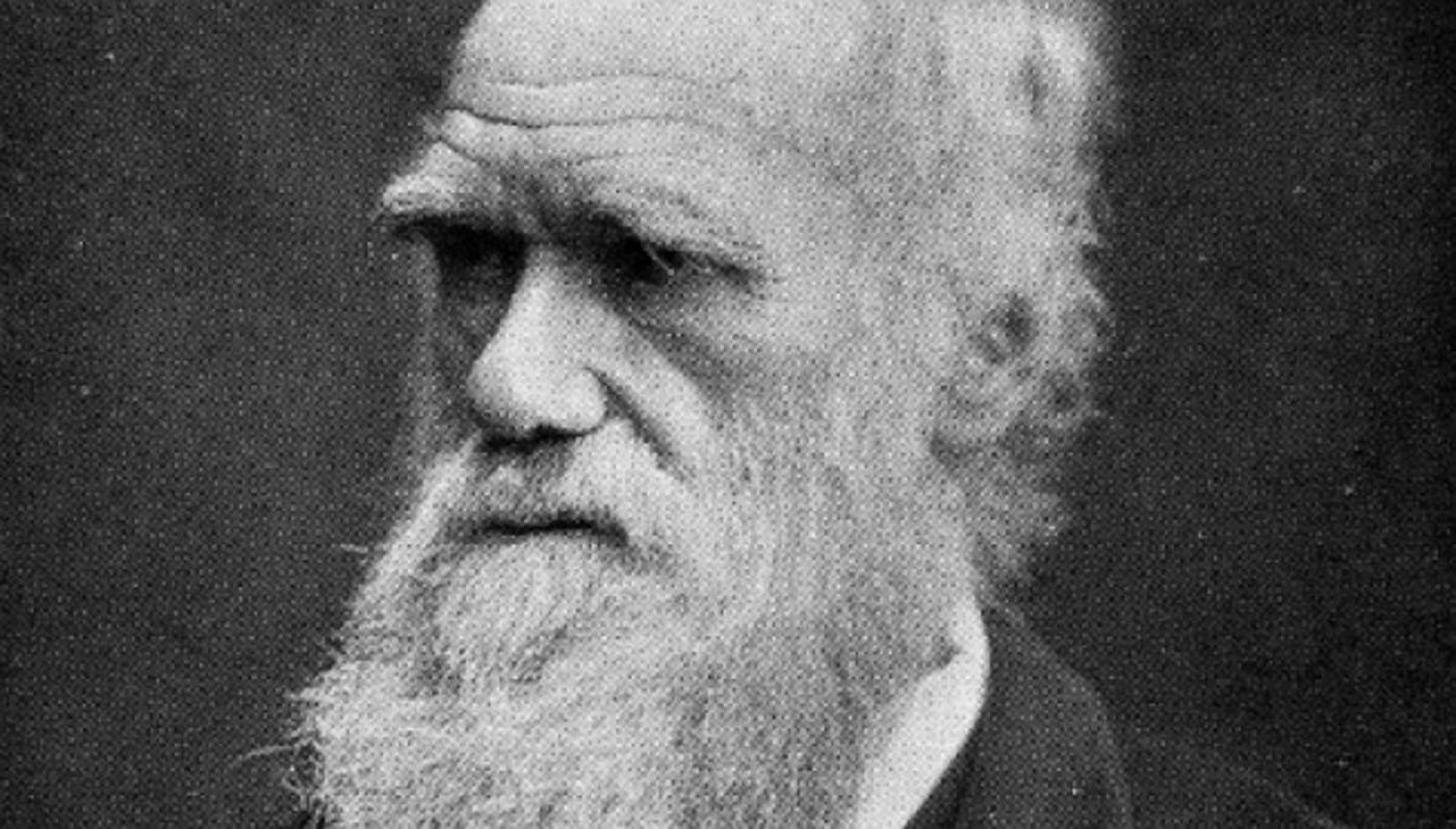 Resultado de imagen para charles darwin