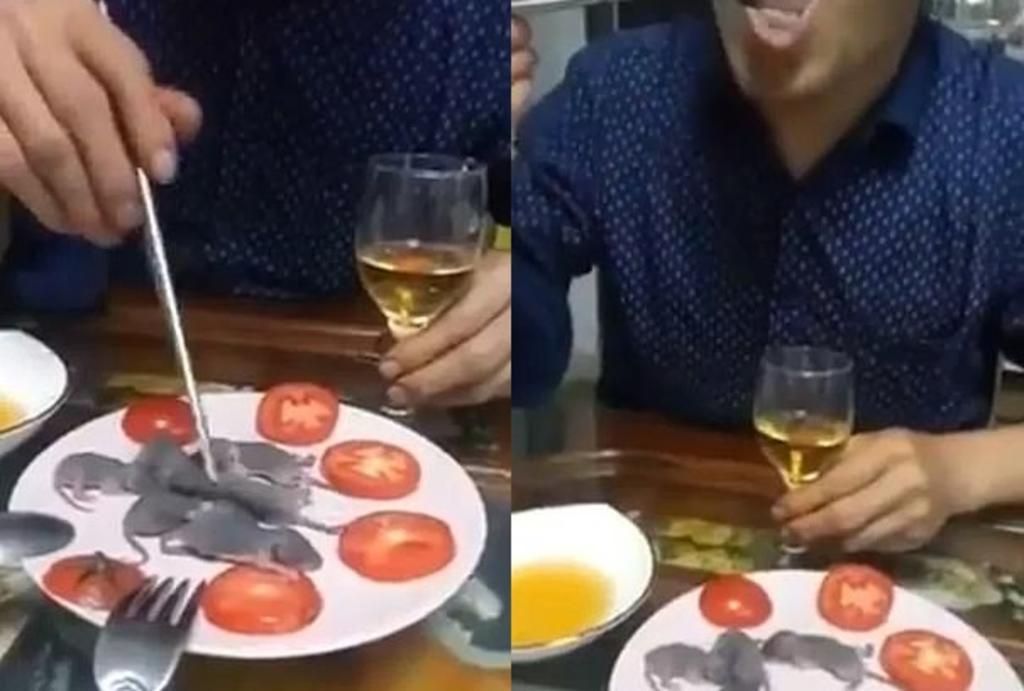 Viral Difunden Video De Hombre Comiendo Ratones Bebes Vivos El Siglo De Torreon