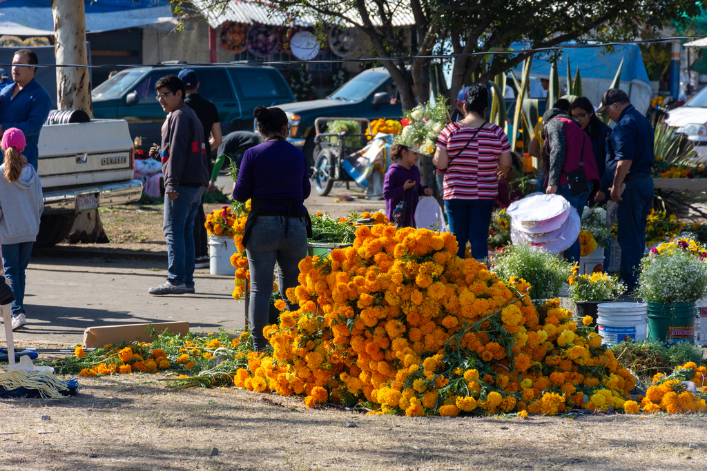 Romería se haría si abren camposantos en Durango, El Siglo ...