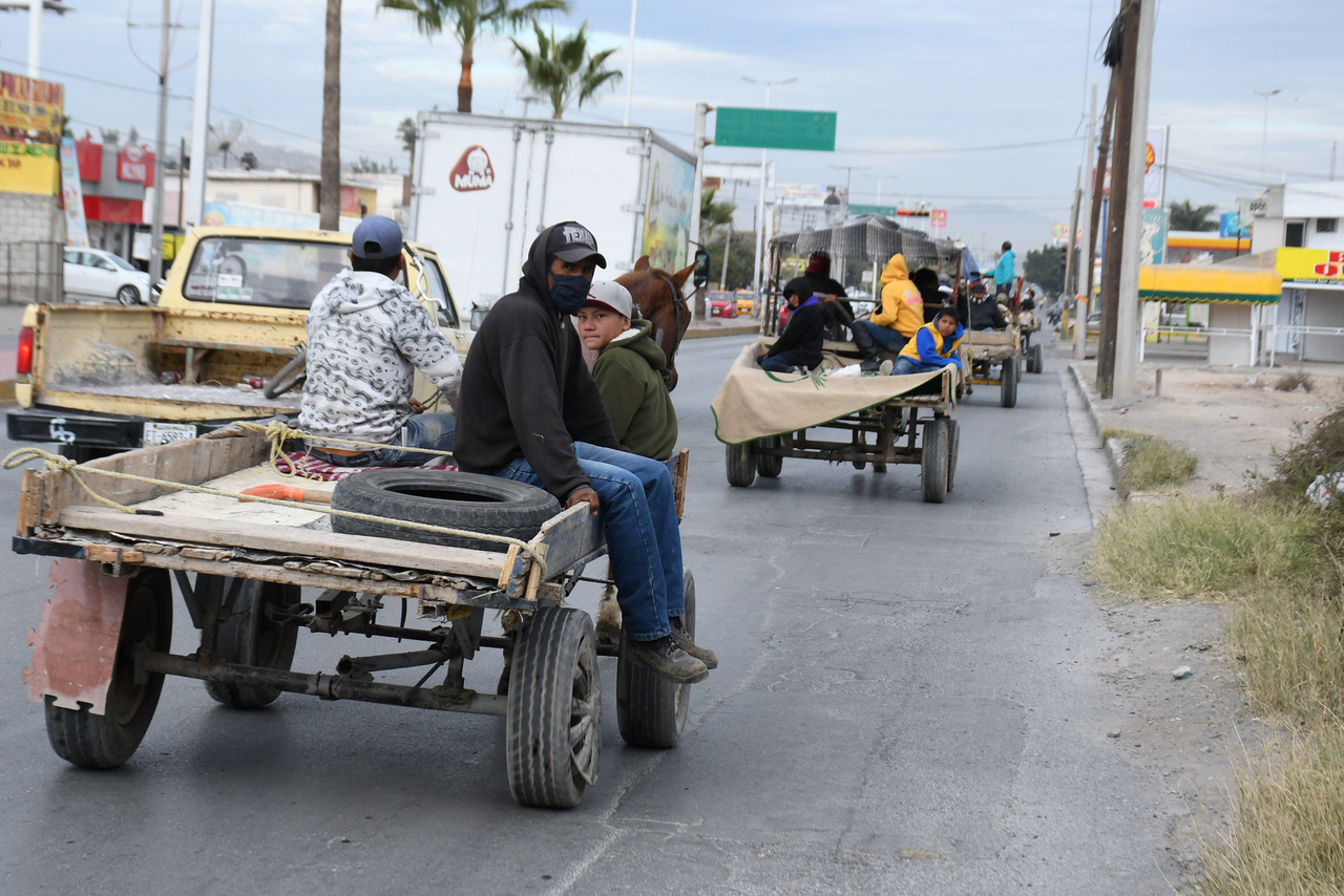 Continúa en 'el limbo' la regulación de carromatos en Torreón