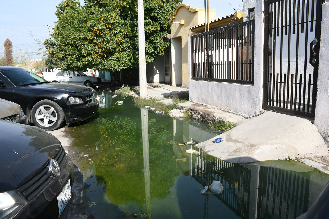 Brotes de aguas negras persisten en diversos puntos de Torreón