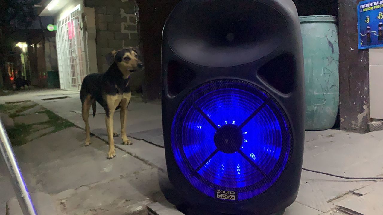 Fiestas de medianoche: Música para todos... aunque no quieran