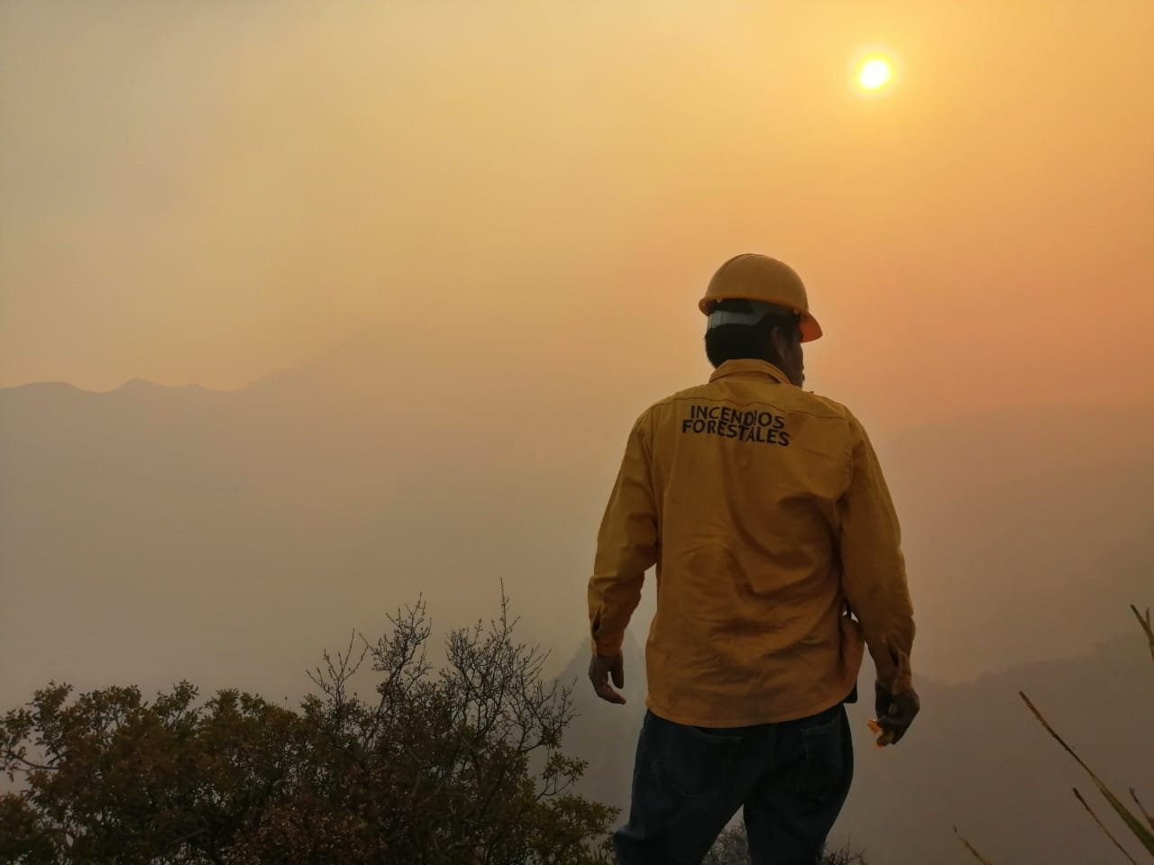 Incendios afectan más de 56 mil hectáreas